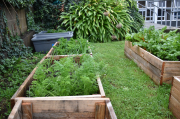 Enviroclub Gardens Are Thriving.