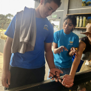 Science in the Moana: Level 2 Biology at Goat Island