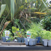 OHS Leads the Way in Sustainability: The REAL Programme 2026
