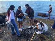Level 2 Biology Students Investigate Rocky Shore Ecosystems