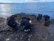 Level 2 Biology Students Investigate Rocky Shore Ecosystems