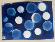 Cyanotype Printing in the Classroom