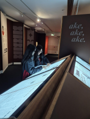 Year 13 Social Studies Students Explores Activism at Parnell Museum