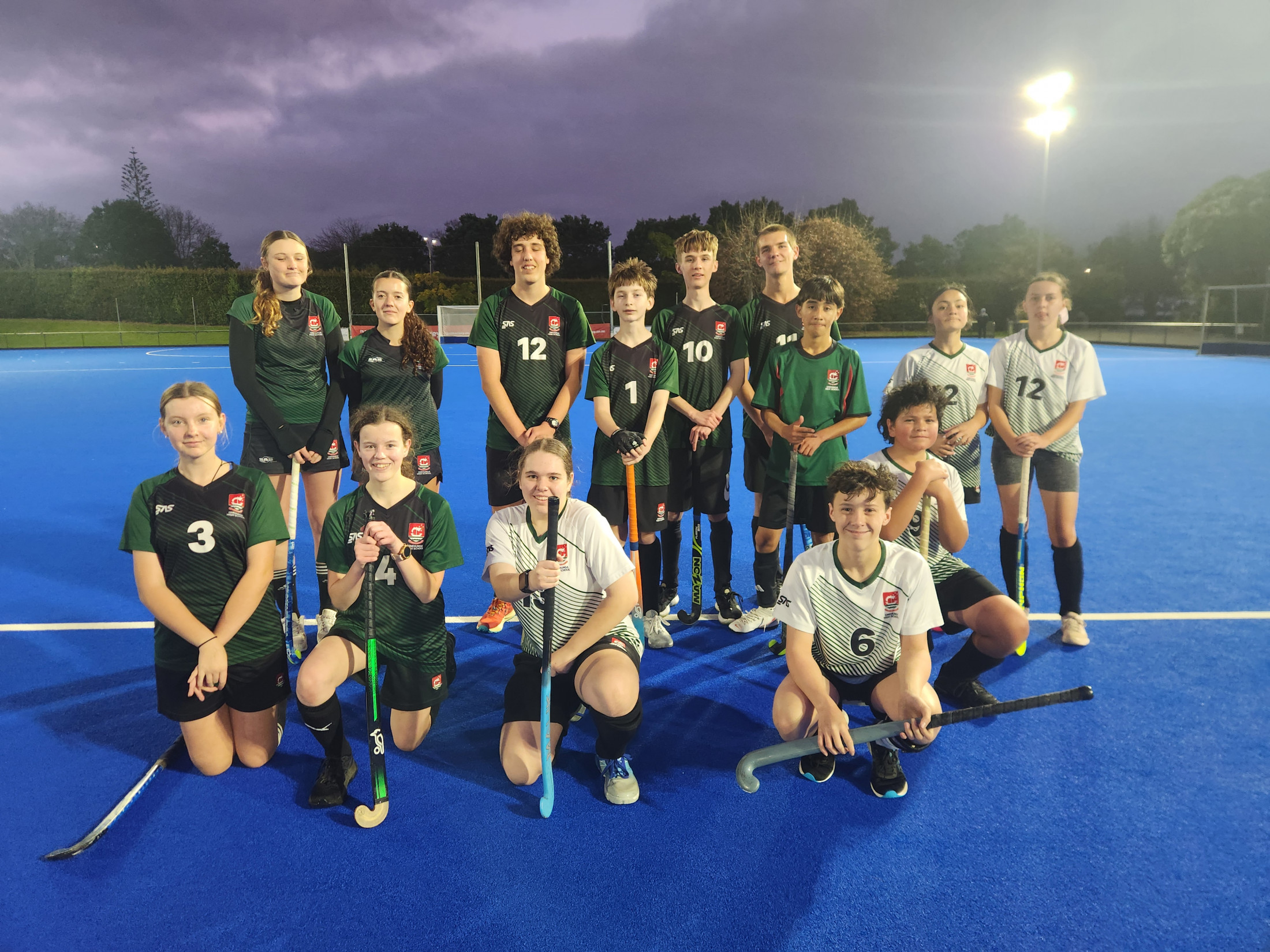 OHS Hockey Teams Reach Semi-Finals