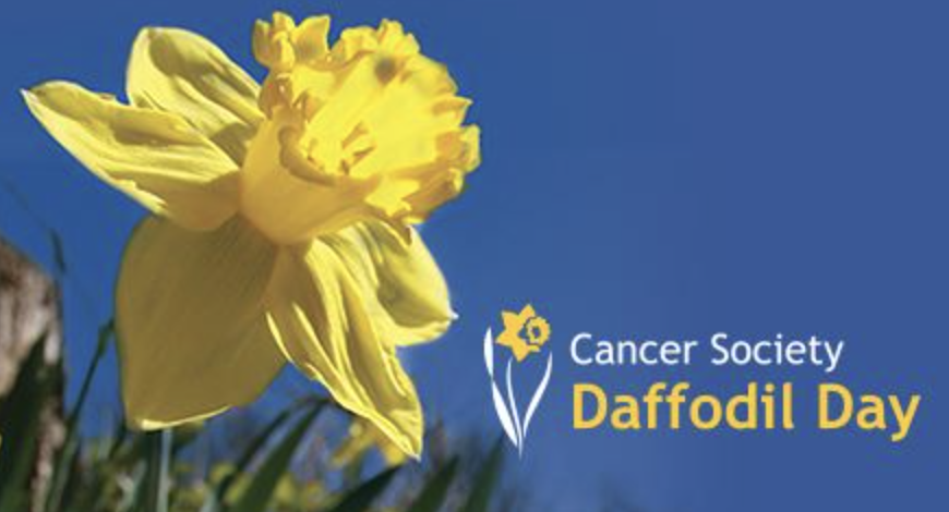 Supporting Daffodil Day