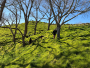 Year 12 Students Take on Orienteering Challenge